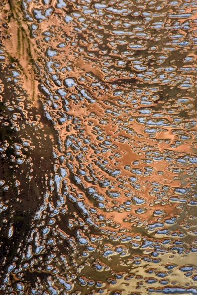 USA, Utah, Zion NP Water abstract